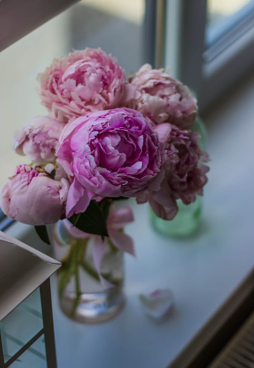 Galentine's Suite – Gift Card